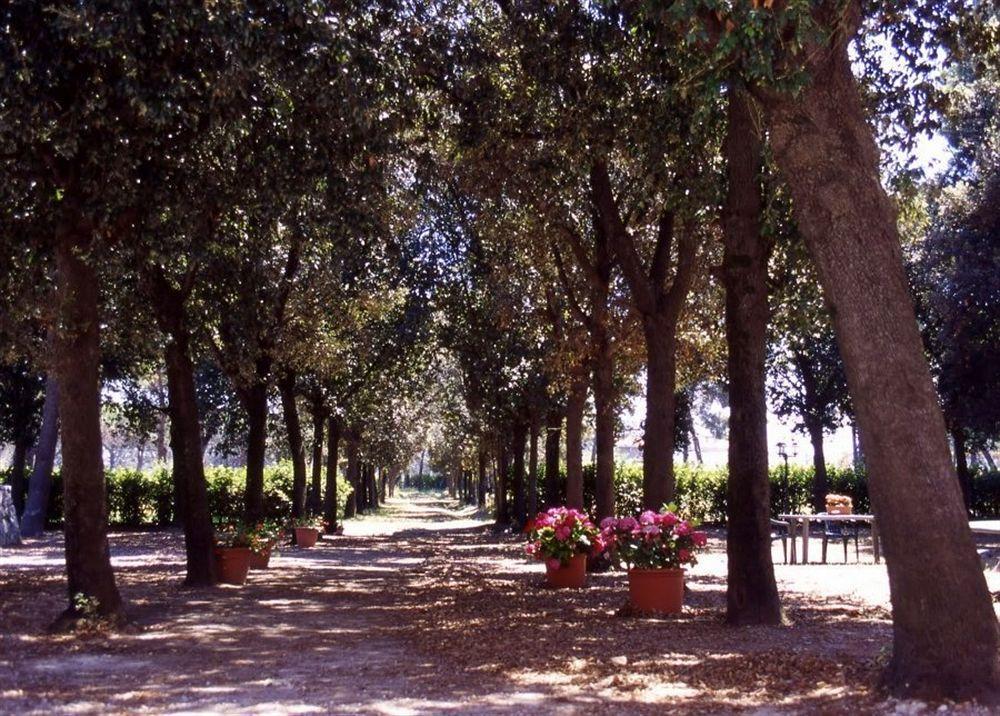 Razza Del Casalone Guest House Grosseto Luaran gambar